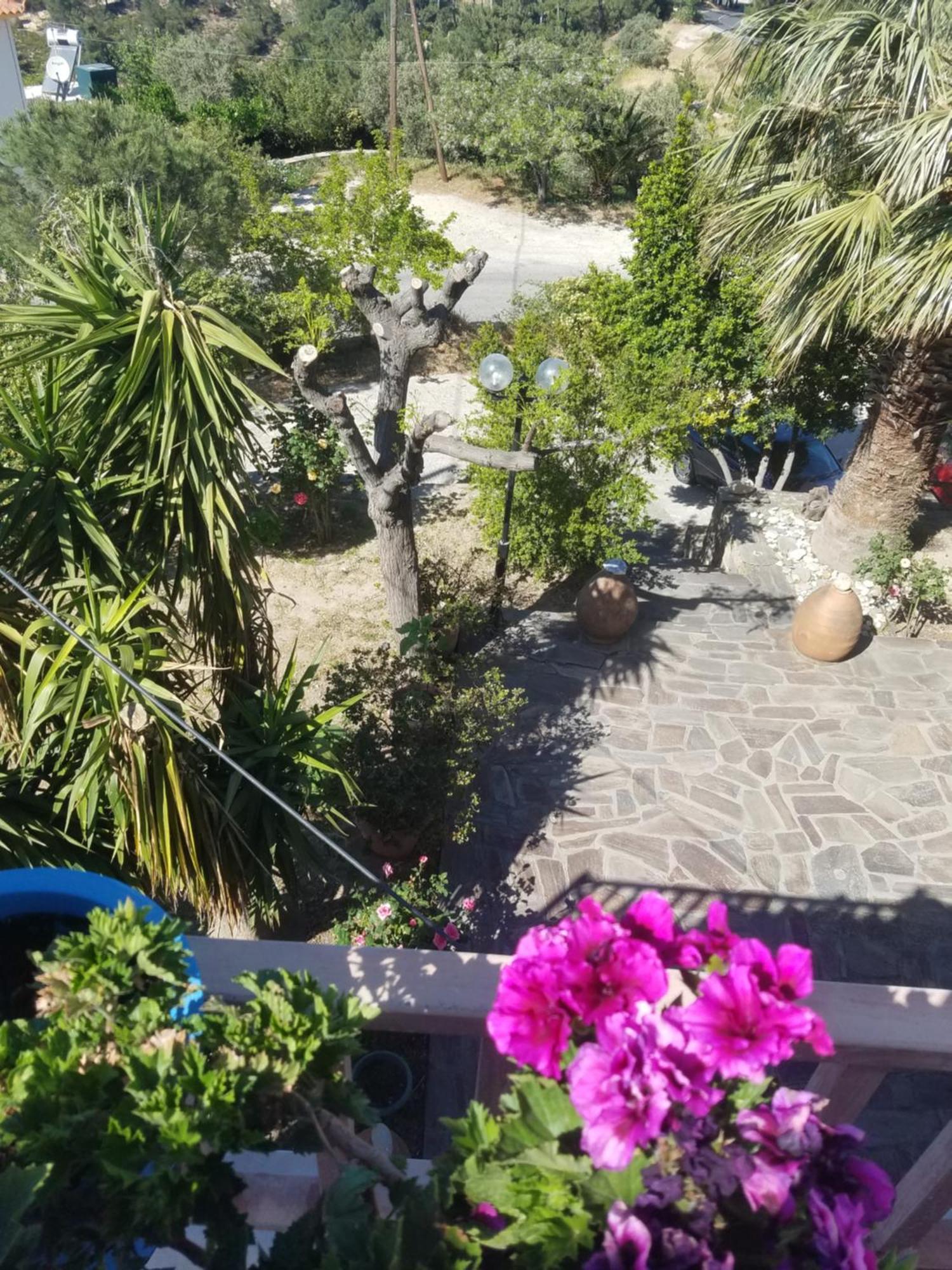 Spitikariotiko Panoramic Home Raches  Room photo